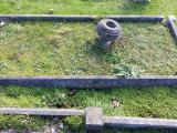 image of grave number 525352